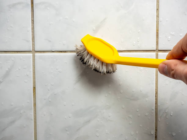 Best Toxic Mold Removal  in Jefferson, NC