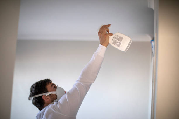 Best Same-Day Mold Removal  in Jefferson, NC