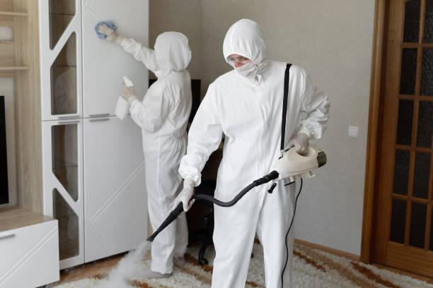 Trusted Jefferson, NC Mold Removal Experts
