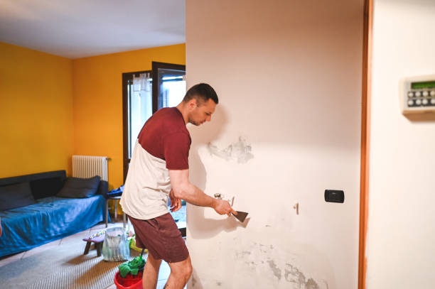 Best Commercial Mold Removal  in Jefferson, NC